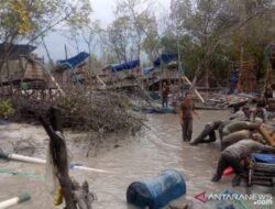 Pemanfaatan Potensi Sumber Daya Alam “Timah”.