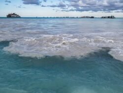 “Mencari Solusi Untuk Kepentingan Ekonomi Dan Kelestarian Lingkungan Dalam Pertambangan Timah Di Pantai, Mahasiswa Siap Menjadi Penengah Demi Mewujudkan Kedamaian Kedua Belah Pihak”
