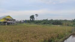 Agrowisata Indah Sawah Tebing Jadi Harapan Baru Pemberdayaan Ekonomi Desa